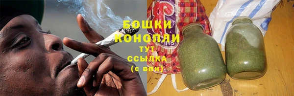 гашик Богородск