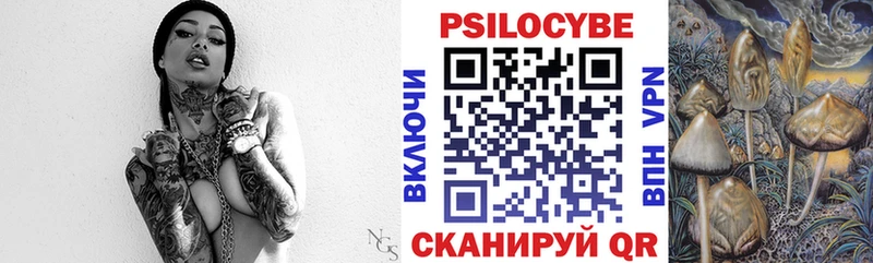 darknet формула  Старица  Галлюциногенные грибы Psilocybine cubensis 