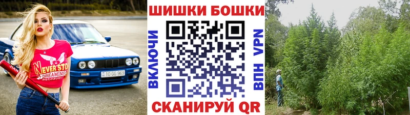 Конопля планчик Старица